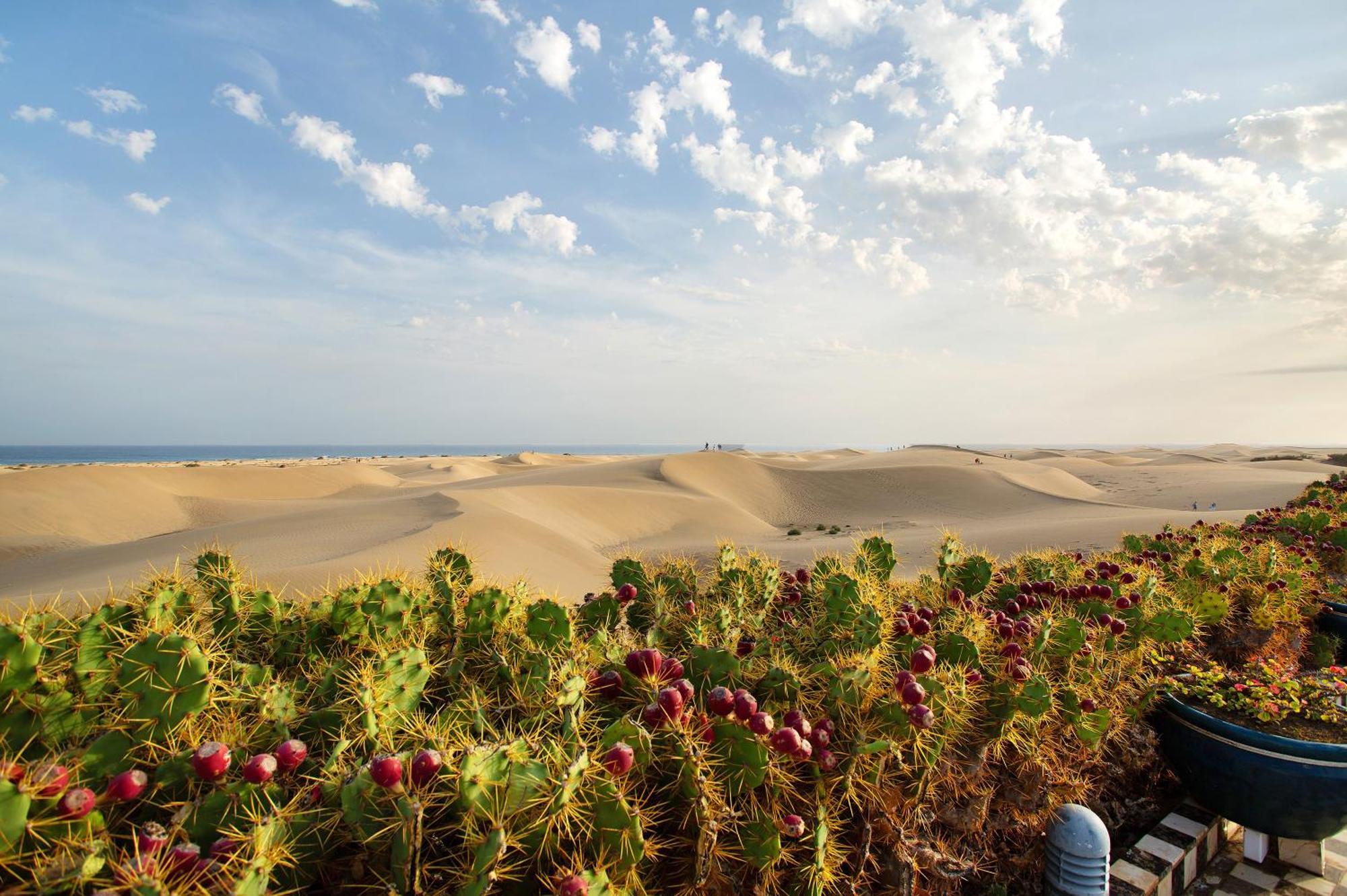 Villa Dunas Maspalomas マスパロマス エクステリア 写真